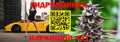 PSILOCYBIN Гусев